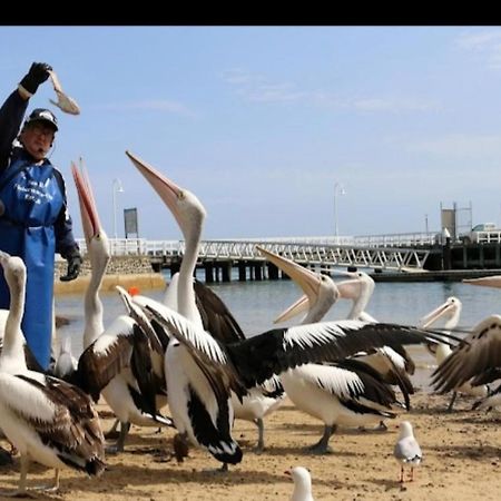 Relax In San Remo Pets Welcome Экстерьер фото