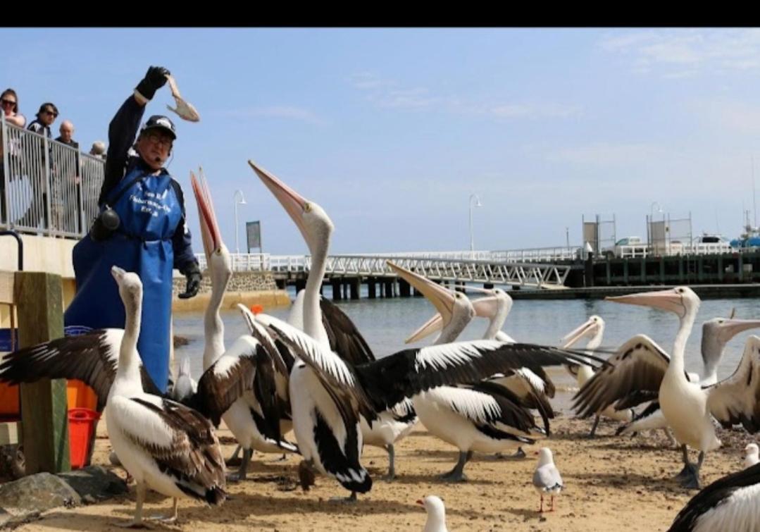 Relax In San Remo Pets Welcome Экстерьер фото